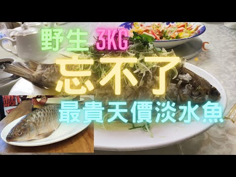 野生忘不了Empurau😳天價淡水魚王,馬來西亞直送😍有幸食到,一嘗心願🙏鯉魚門漢記加工👍~fishcutting香港海鮮~社長遊街市Seafood