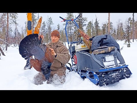 НЕ ОЖИДАЛ ТАКОГО ПОВОРОТА!!! В ПОСЛЕДНИЙ МОМЕНТ НАШЁЛ ИХ! ОХОТА НА ГЛУХАРЯ С МЕЛКАШКОЙ 2023. ПИЖМА.
