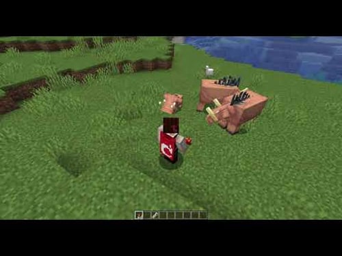 The sad story of Ted the baby hoglin