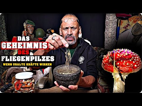 The secret of the fly agaric mushroom!