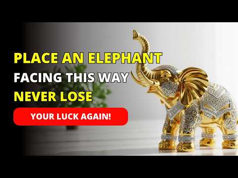 How To Place Elephant Statue for Good Luck – What Most People Don’t Know