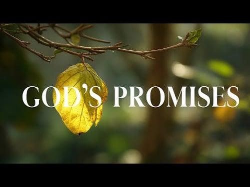 GOD'S PROMISES - Soaking Prayer Music | Instrumental for Prayer, Devotion, Peace, Meditation