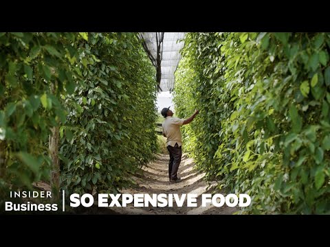 Why Kampot White Pepper Is So Expensive | So Expensive Food | Insider Business