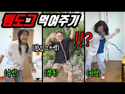 핫도그에서 뱀이 나온다면!? 여자편ㅋㅋㅋ 뱀도그 2탄