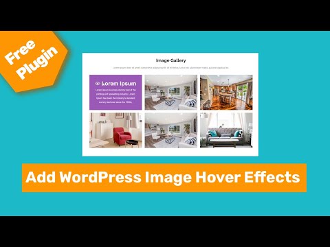 How To Add WordPress Image Hover Effects Using Elementor page builder