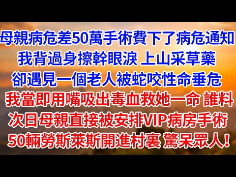 母親病危差50萬手術費下了病危通知 我背過身擦幹眼淚 上山采草藥 卻遇見老人被蛇咬了性命垂危 我當即用嘴吸出毒血救她一命 次日母親直接被安排VIP病房手術 50輛勞斯萊斯開進村裏【為人處世】【故事】