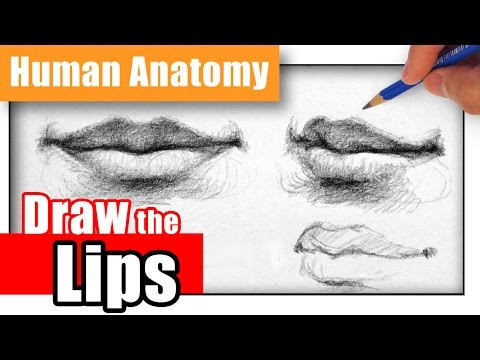 How to Draw the Lips the Easy Way - Different Angles