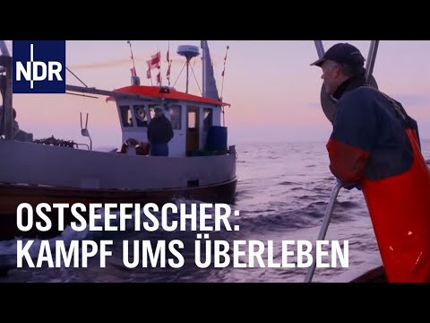 Der letzte Fang? Ostseefischer vor dem Aus | Die Nordreportage | NDR