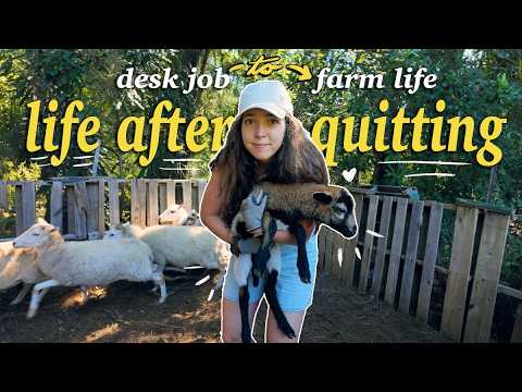 a REALISTIC day in my life after quitting my 9-5 (to work on a farm)