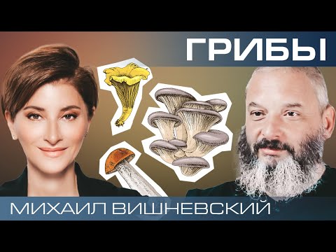 Грибы – наши союзники или враги? Миколог Михаил Вишневский