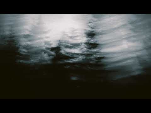 The Me You See + How to Live With a Disappearance