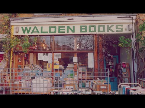 Five bookshops to make you fall in love with London