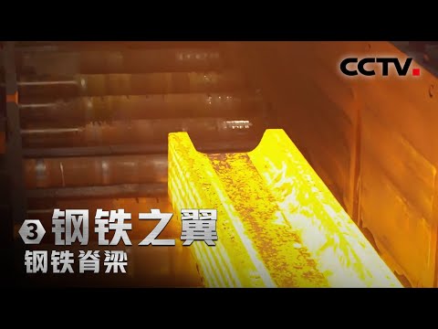 寿命70年!马钢改变了重型H型钢从国外进口的历史 「钢铁脊梁」第三集 | CCTV财经