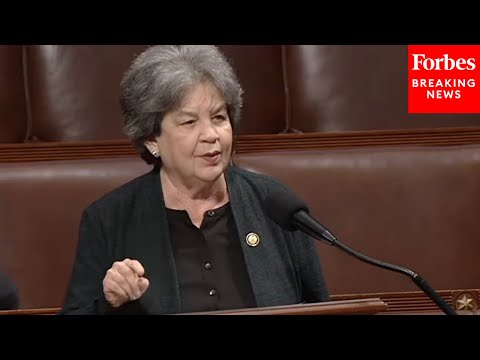 'Campaign Of Cruelty And Fear': Lois Frankel Refuses To Support DHS Funding Bill Due To ICE Conduct