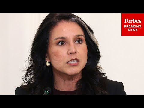 'The Last Example I'll Share Is Probably The Most Insidious...': Gabbard Details Cartel Threats
