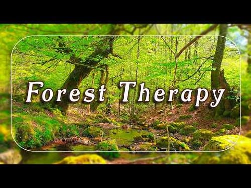 ๐ณFresh Morning ๐ณHealing Frequency Forest Creek Sounds with Soft Birdsong | Relaxing Bubbling Stream
