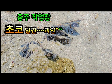충주작업장 초코석발견 과연~~^^