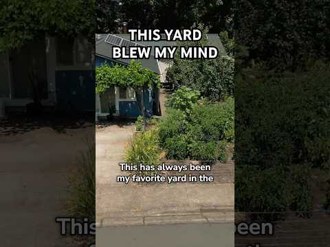 This Yard Blew My Mind