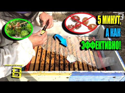 ESSENTIAL OILS TO PROTECT BEES FROM VARROA MITES. BEEKEEPING 25-13