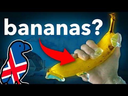 Why The World’s Coldest Country Grows Bananas