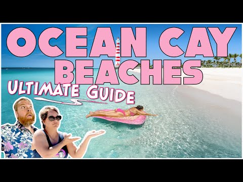Ultimate Guide to the Beaches on MSC's Ocean Cay