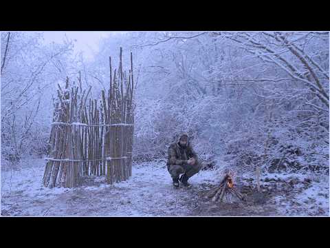 I Build an EPIC Survival Shelter for the Winter in the Wild