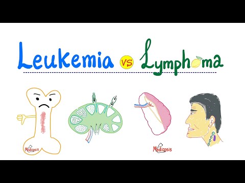Leukemia & Lymphoma Introduction - Distinctions in Oncology - Hematology Series