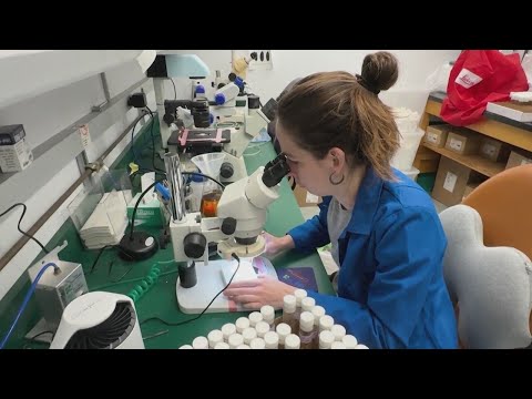 Judge: Trump administration hasn't fully followed order to unfreeze federal funding