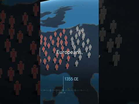 Silk Road Chronicles: How Did the Black Death Spread So Fast?