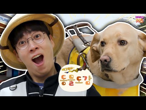 오늘은 어떤 동물을 만날까?ㅣ안내견을 만난 에그박사ㅣ에그박사의 동물 도감ㅣKBS 방송