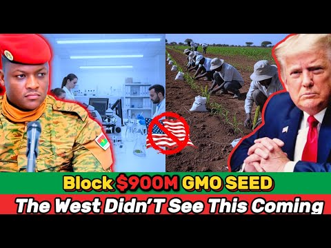 Why Is the West So Alarmed by Burkina Faso’s $900 Million Anti-GMO Seed Law?