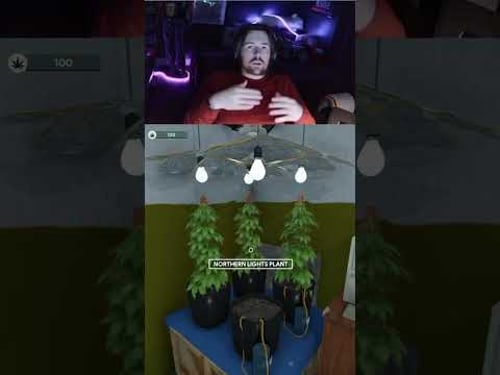 guys someone should buy me an average deck #clips #weedshop3 #gaming