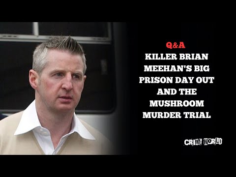 Q&A - Killer Brian Meehan's big prison day out and the mushroom murder trial