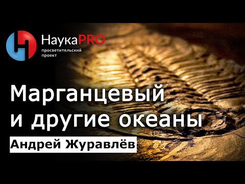 Марганцевый, доломитовый и другие океаны – Андрей Журавлёв | Лекции по палеонтологии | Научпоп