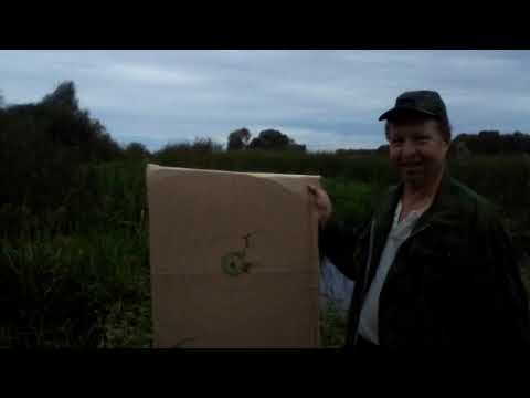 Миф или нет ? Связанная картечь .Разрушитель мифов .