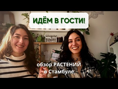 В гостях у Олы @olabavarsi / Обзор РАСТЕНИЙ в стамбульской квартире / Растения в интерьере