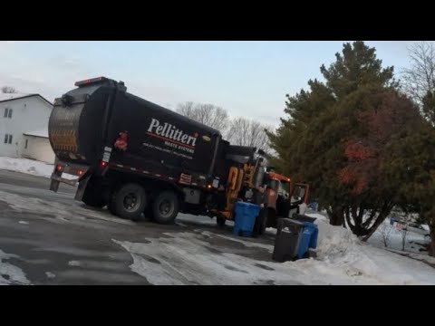 Pellitteri 542 on Warm Winter Morning Recycle