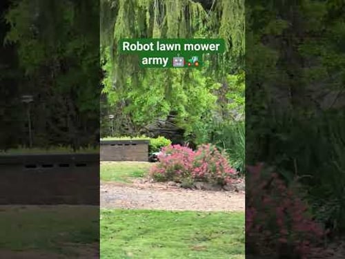 The robot lawn mower army is growing @hookiiTech Neomow @mammotiontech Luna Yuka