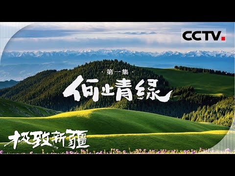 《极致新疆》01 何止青绿:被新疆的极致风光狠狠拿捏了 这里的每一寸山河 都在上演自然的极致【CCTV纪录】