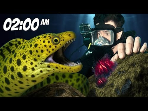 I Survived an Entire Night Alone on the Ocean Floor