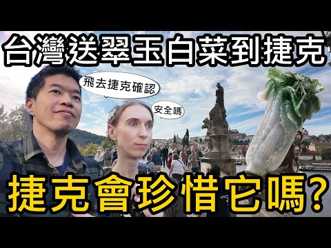台灣送翠玉白菜到捷克,安全嗎?捷克有好好保護故宮國寶嗎?|飛去布拉格確認
