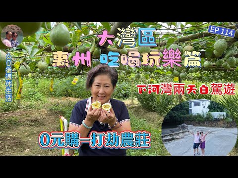 349.惠州-大灣區--吃喝玩樂篇(EP114) ,#惠州市 #羅浮山 #下河灣 #自駕遊#0元購 #打劫朋友農場 #自摘農作物 #農家菜