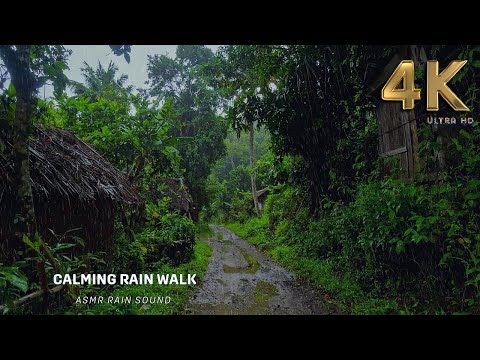 Relax and Sleep: A Rainy Walk Through the Village | Gentle Rain on a Muddy Path | ASMR Rain Sound