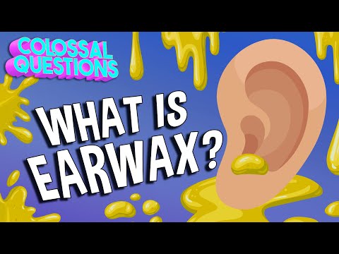 What Is Earwax? | COLOSSAL QUESTIONS