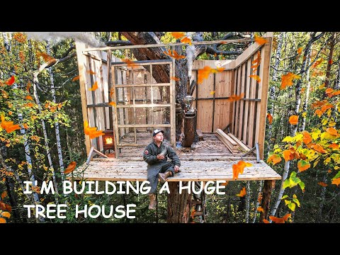 Escape the Ordinary: Discover the Magic of My Huge Tree House