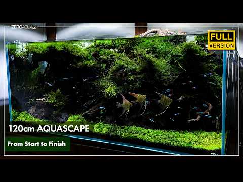 How to Build a Beautiful Aquascape in 2025 | Step-by-Step Aquascaping Guide