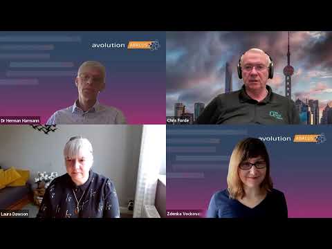 Panel: Strategies & Skills For Enterprise Architecture Career Success (EA Summit 2024)