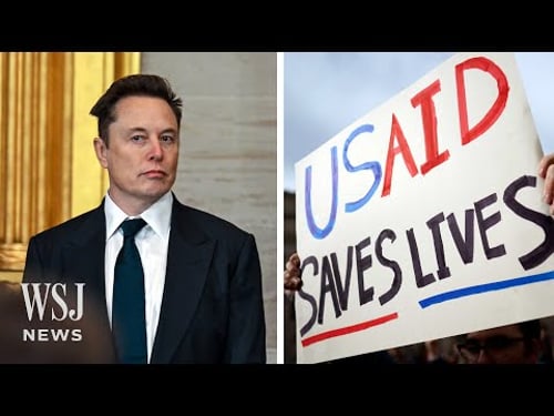 What Is USAID and Why Do Elon Musk and Trump Want It Shut Down? | WSJ News
