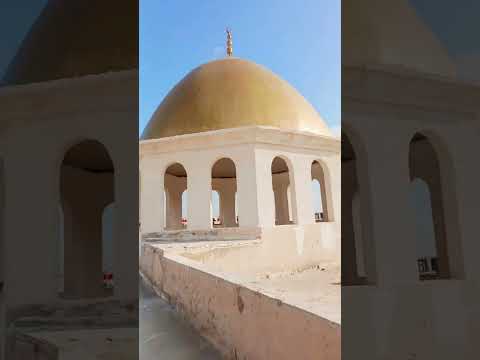 جامع علي بن أبي طالب… حكاية صبرٍ وبناءٍ في حيّ الشهداء بدمشق #التضامن_جامع_علي #سليخة