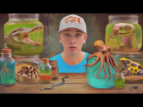 다크웹에서 가장 위험한 동물들을 발견했어요!